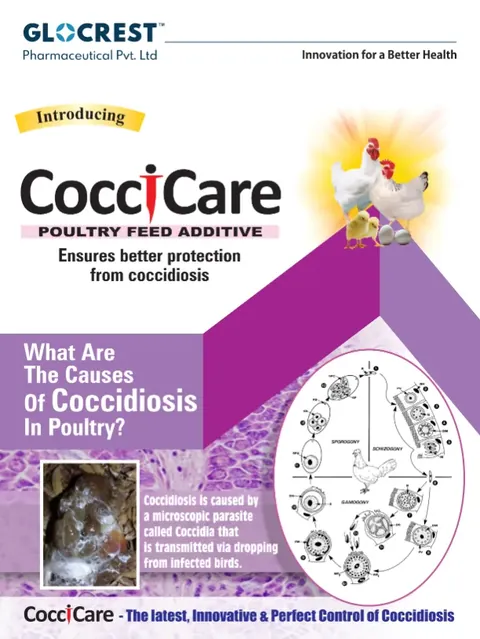 CocciCare leaflet, front