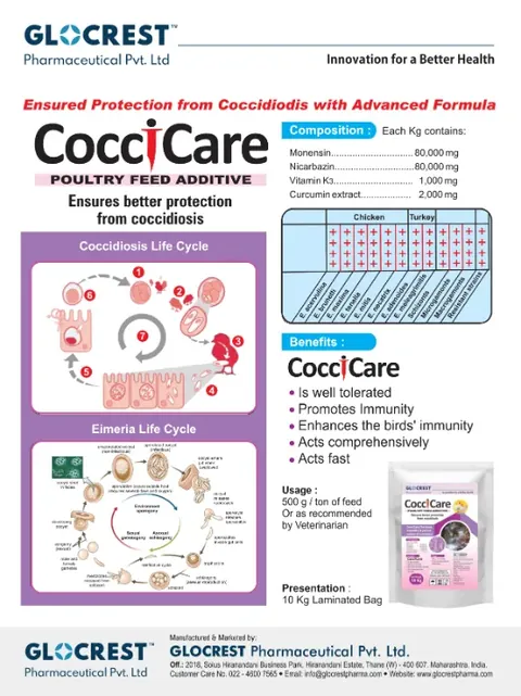 CocciCare leaflet, back