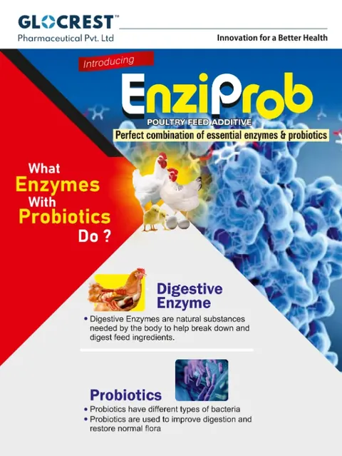 EnziProb leaflet, front
