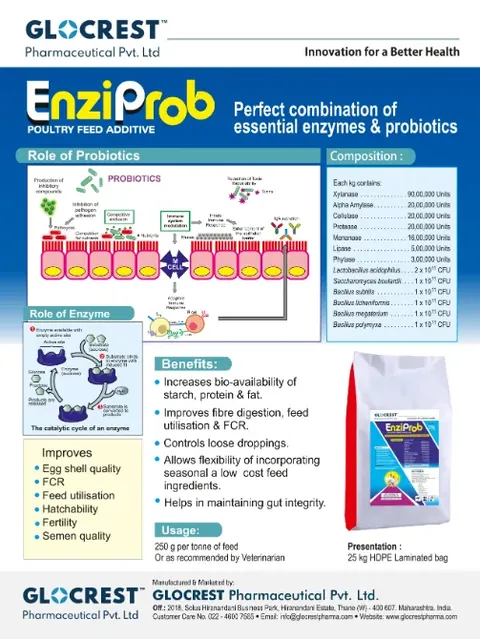 EnziProb leaflet, back