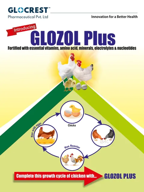 Glozol Plus leaflet, front