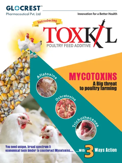 Toxkil leaflet, front
