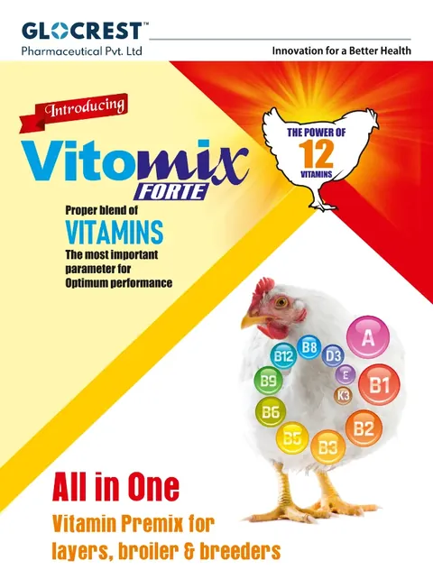 Vitomix Forte leaflet, front