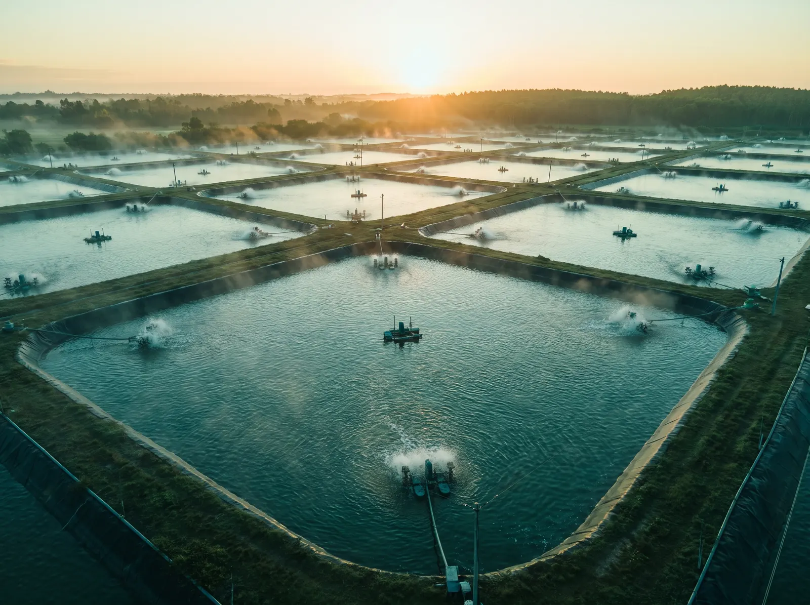 Aquaculture — Glocrest species vertical